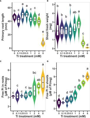 Titanium nanoparticles activate a transcriptional response in Arabidopsis that enhances tolerance to low phosphate, osmotic stress and pathogen infection